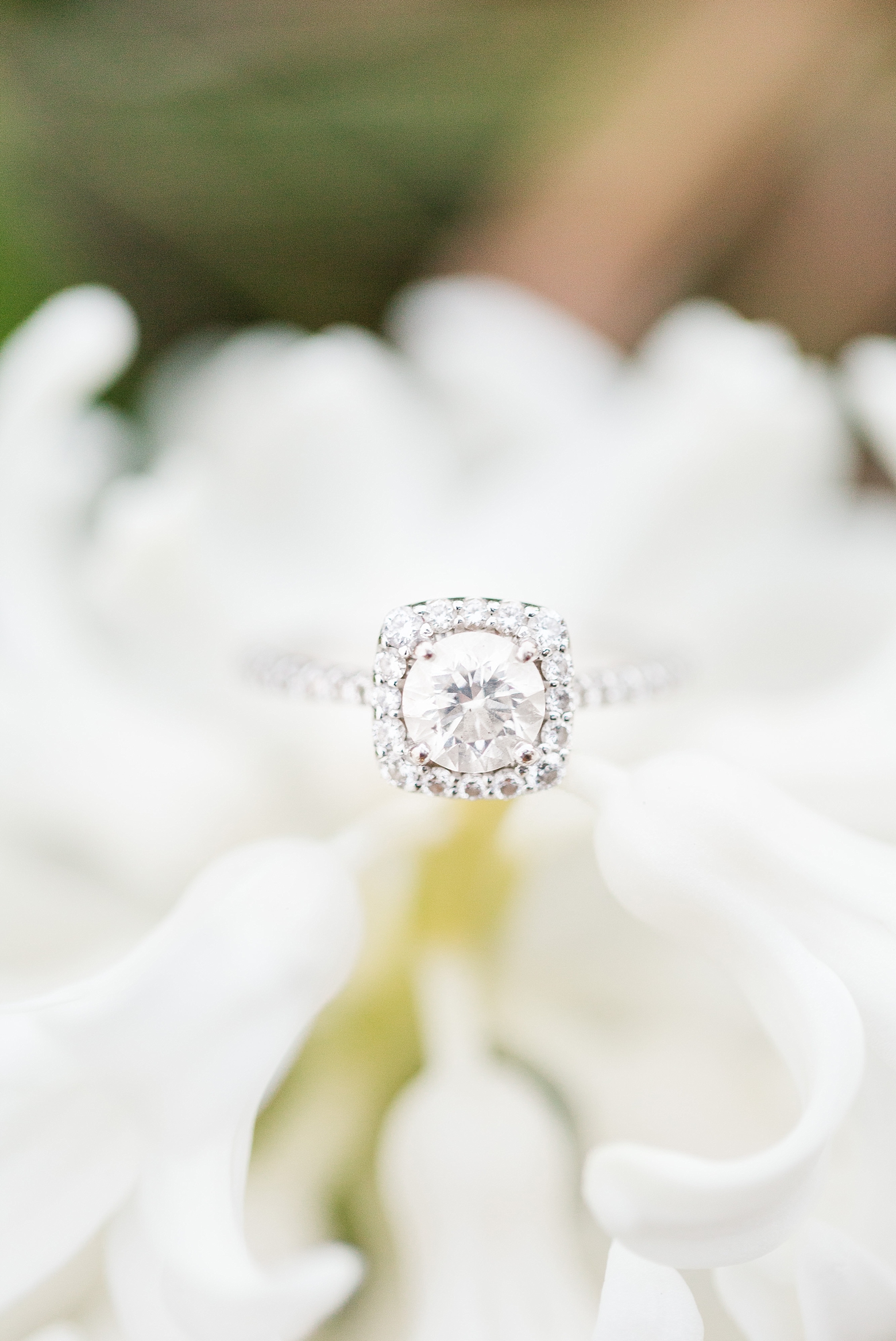 Christopher Newport University Engagement Photography by Angie McPherson Photography