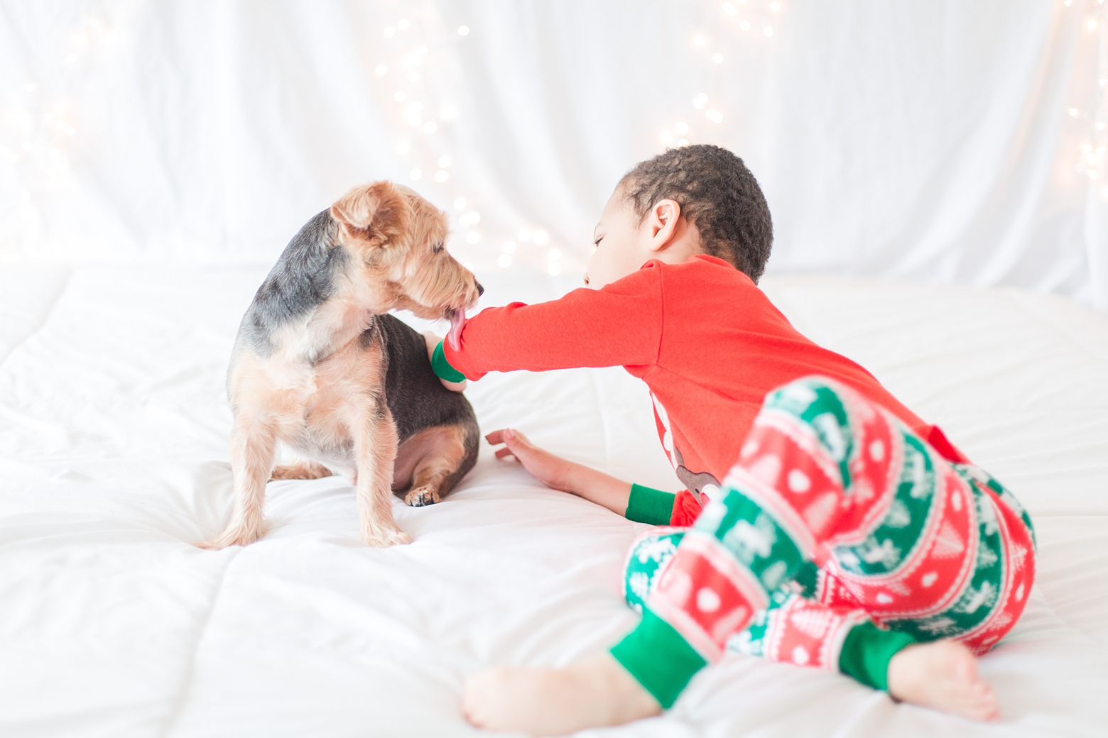 DIY Christmas Lights Photos